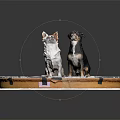 Two Small White And Black Dogs Sitting On Tablecloth With Gear And Clock Patterns 3d model