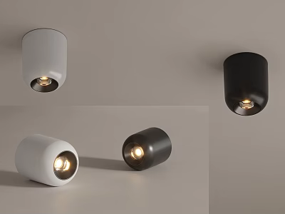 Modern White And Black Downlights Spotlights For Home Interior Lighting Design 3d model