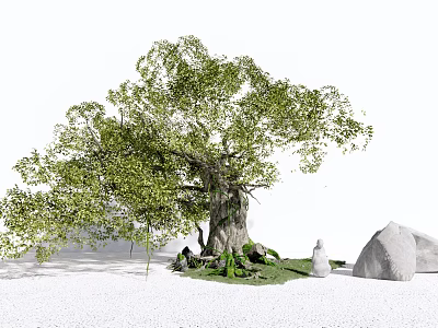 Tall Arbor With Thick Trunk Green Leaves And Stones On Grass 3d model