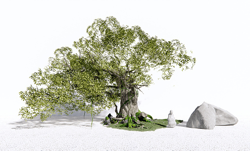 Modern Tree Landscape Tree 3d model