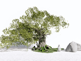 Modern Tree Landscape Tree 3d model