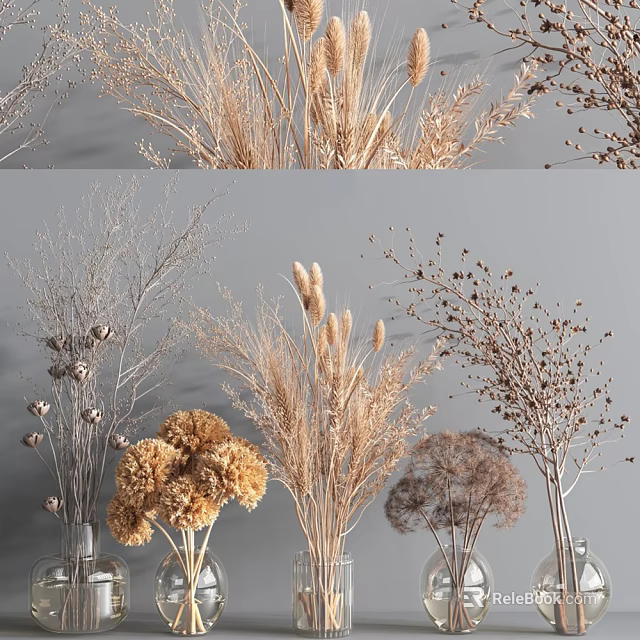 Natural Dried Flower Arrangement In Glass Vases With Various Types For Neutral Home Decor 3d model 