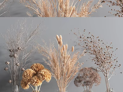 Natural Dried Flower Arrangement In Glass Vases With Various Types For Neutral Home Decor 3d model