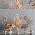 Natural Dried Flower Arrangement In Glass Vases With Various Types For Neutral Home Decor