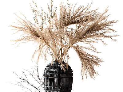 Dried Pampas Grass in Black Woven Vase for Modern Home Decoration 3d model