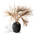Dried Pampas Grass in Black Woven Vase for Modern Home Decoration