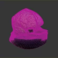 Medical Device Anatomical Brain Model Placed on Blue Base
