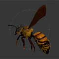 Detailed 3D rendered yellow and orange bee with transparent wings textured body and compound eyes