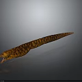Long Brown Patterned Animal With Large Head Open Mouth Gray Gradient Background Highlighted Prehistoric Reptile