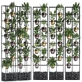 Stylish Indoor Plant Combinations With Green Foliage In Metal Planters On Grid Shelves
