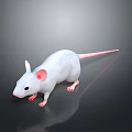 White Mouse With Pink Ears And Pink Tail On Dark Reflective Background 3d model