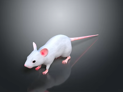 White Mouse With Pink Ears And Pink Tail On Dark Reflective Background 3d model