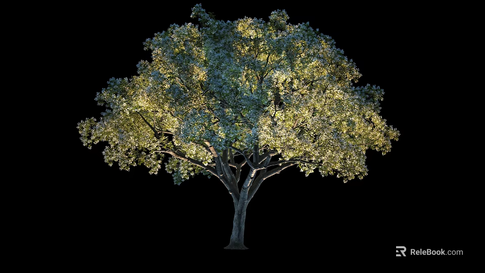 Illuminated Tree with Lush Green Foliage and Full Canopy Against Dark Background 3d model 