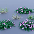 Vibrant Lush Green Grass And Purple Flowers In Herbaceous Plant Clusters
