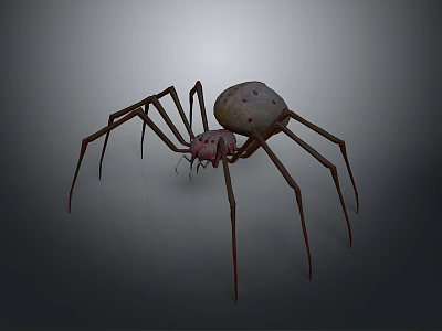Detailed View Of Large Spider With Long Thin Legs And Brown Spotted Body 3d model