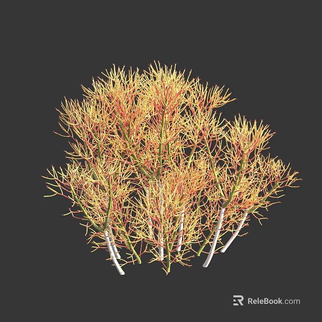 Yellow and Red Flower Plant with Slender Branches and White Stems on Dark Background 3d model 