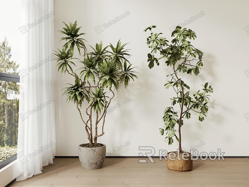 Modern Potted Plant Modern Greening model