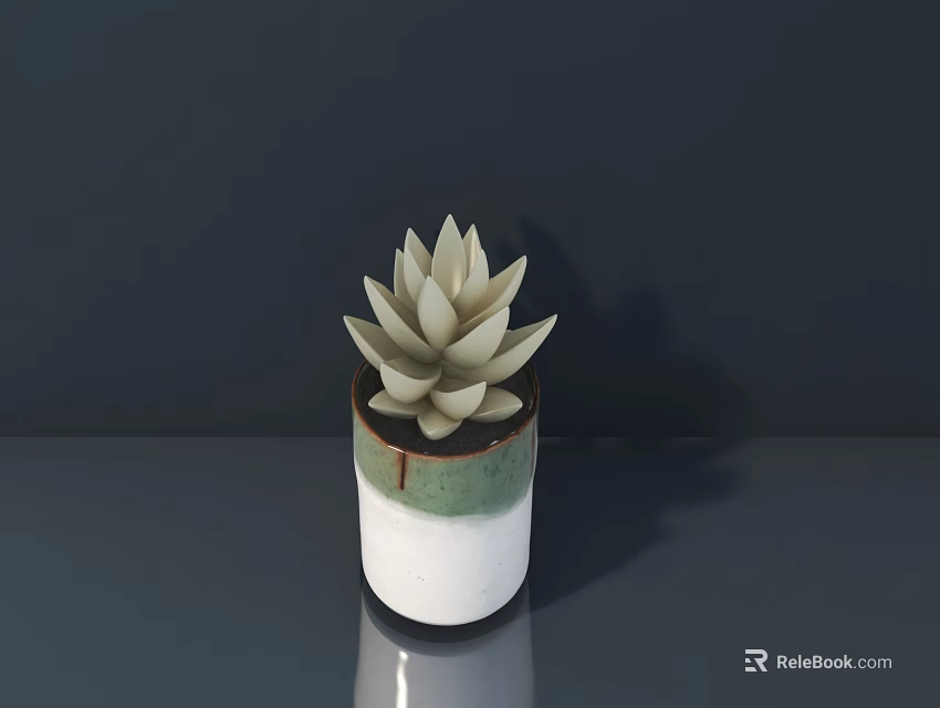 Succulent Plant In White And Green Ceramic Pot On Gray Surface With Dark Background 3d model 