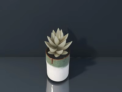 Succulent Plant In White And Green Ceramic Pot On Gray Surface With Dark Background 3d model