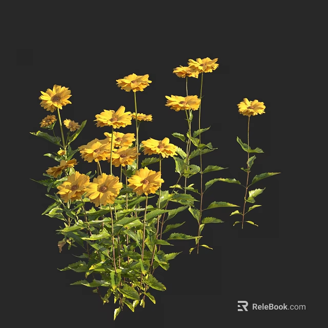 Beautiful Yellow Flowers With Green Leaves And Stems Against Black Background In Natural Bloom 3d model 