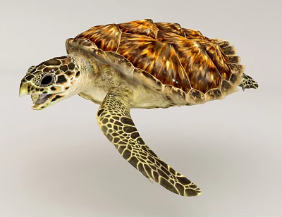 Sea Turtle With Brown And Orange Shell Spotted Head Patterned Flippers Open Mouth 3d model