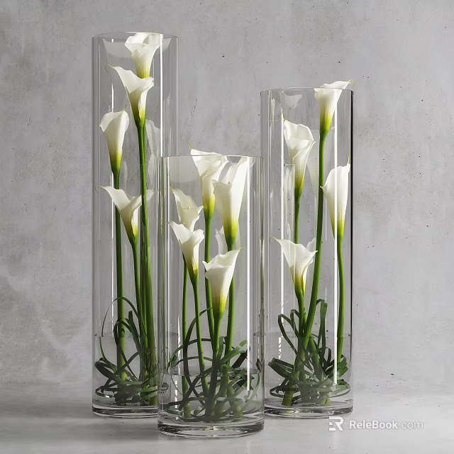Transparent Cylindrical Vases with White Calla Lilies and Green Stems on Gray Background 3d model 