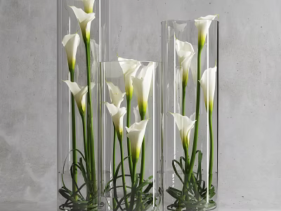 Transparent Cylindrical Vases with White Calla Lilies and Green Stems on Gray Background 3d model