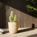 Cactus Potted Plant in Beige Ceramic Pot with Lying Cat Floor Lamp and Wooden Wall