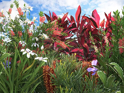 Vibrant Garden Shrubs With Colorful Flowers And Red Purple Leaves Under Blue Sky White Clouds 3d model