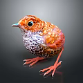 Small Bird with Vibrant Orange and White Feathers and Bright Orange Legs against Dark Background