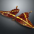 Butterfly Colored Butterfly Tabby Butterfly Leaf Butterfly 3d model