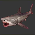 Gray Shark With Open Mouth Sharp Teeth And Dorsal Fin 3d model