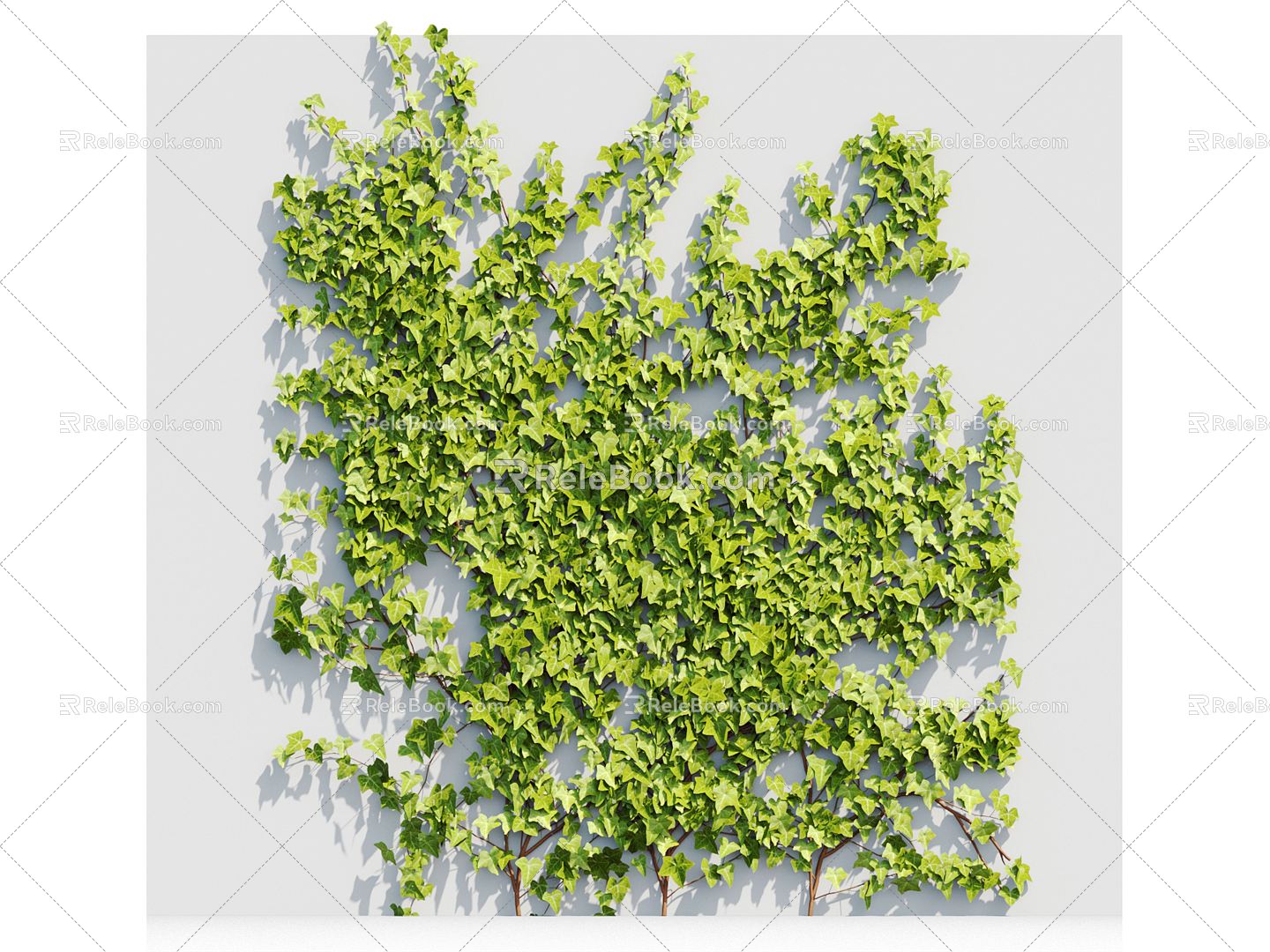 Modern Vine Vine Plant 3d model