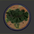 Green Tree Inside Transparent Glass Dome With Green Grass Orange Sand On Blue Base