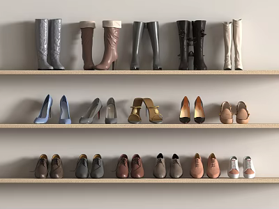 Organized Women's Shoes Display With Various Styles And Colors On Shelves 3d model
