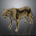 3D Rendered Lion Model in Standing Posture with Brown Yellow Fur and Open Mouth