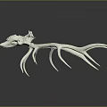 Realistic White Deer Skull With Large Antlers Displayed On Dark Reflective Background