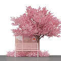 Pink Cherry Blossom Tree With Pink Bench And Decorative Screen In Elegant Scene