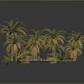 Multiple Palm Trees in Various Sizes with Green Fronds on Gray Background