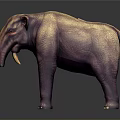 Realistic 3D Elephant Model With Pinkish Purple Textured Skin And Ivory Tusks On Dark Background