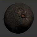 Fresh Ripe Avocado With Dark Green Textured Skin And Brown Stem