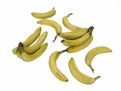 Fresh Ripe Yellow Bananas in Bunch and Single Pieces on White Background 3d model