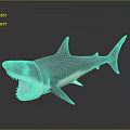 Realistic Shark Figure With Open Mouth Sharp Teeth And Gray Body 3d model