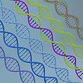 Advanced Medical Devices Utilizing DNA Double Helix Molecular Structure for Genetic Research 3d model