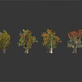 Collection of Various Plants with Green Orange Red Leaves and Bare Tree Models