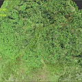 Natural Garden Landscape Design With Rocky Terrain Green Vegetation Moss Covered Hills And Natural Path