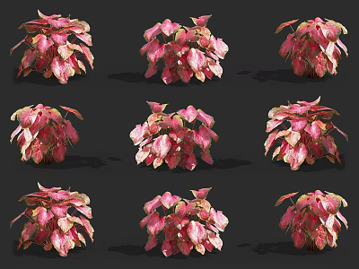 Pink And White Leaf Potted Plants Arranged In Multiple Decorative Clusters 3d model