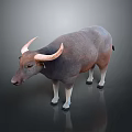 Realistic Buffalo With Curved Horns Dark Gray Light Brown Body White Legs On Gray Background