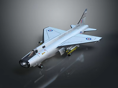 Silver Gray Military Fighter Jet With Wing Badges And Weapon Payloads On 3d model