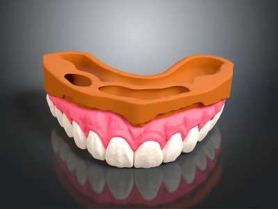 Dental Teeth Model With Pink Gums White Teeth And Orange Orthodontic Tray 3d model